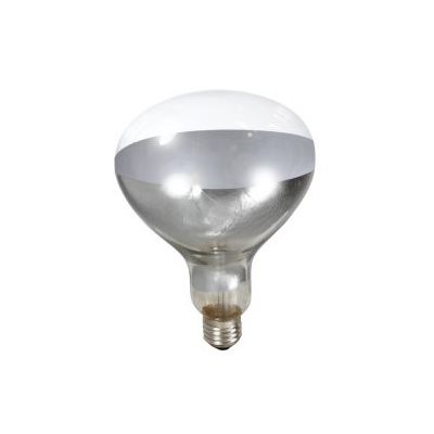 Miller Little Giant® Clear Heat Lamp Bulb, 250 W